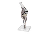 KNEE MODEL WITH ENDOPROSTHESIS - 4449