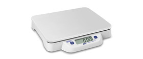 Bench scales