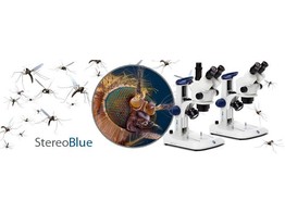 Stereoscopes StereoBlue