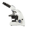 EUROMEX BIOBLUE LAB TRINOCULAIR  MICROSCOOP FASECONTRAST -BB1153PLPH