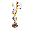 DNA MODEL DOUBLE HELIX  -W19205  1005128 