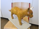DISSECTION MODEL OF CAT