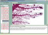 CD-ROM Photomicrographs  diagrams and teaching material to School Set A no. 500 with Photomicrographs  diagrams and teaching material. Containing 235 pictures and text