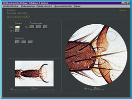CD-ROM. Photomicrographies  microscope virtuel  schemas  textes et materiel pedagogique pour les Series scolaires numero C  comprenant 392 images individuelles et textes