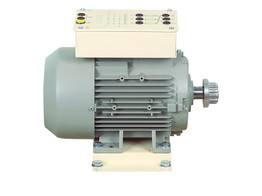 KOOIANKER MOTOR 3-PHASIG - 300W - 230/400V