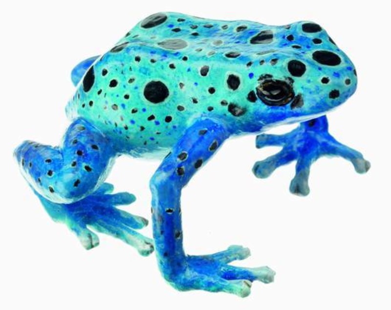 How Deadly Are Poison Dart Frogs?