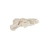 FOOT SKELETON  LEFT- A30L  1000073   