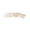 HAND SKELETON WIRE MOUNTED  LEFT -  A40L - 1019367 