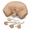 SIMULATEUR D EXAMEN DE LA PROSTATE-W44014