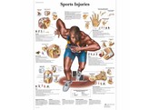 POSTER BLESSURES SPORTIVES - VR2188L