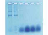 SEPARATING DNA-RNA BY COLUMN CHROMATOGRAPHY