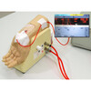 ARTERIAL PUNCTURE TRAINING WRIST-LIGHT SKIN TONE