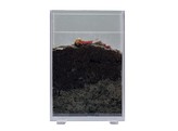 WORM VIEWING BOX 20 X 30 X 5 CM