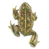 CRAPAUD CALAMITE- SOMSO - ZOS1014