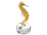 LONG-SNOUTED SEAHORSE