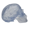 TRANSPARENT CLASSIC HUMAN SKULL MODEL  3 PART - A20/T  1000051 