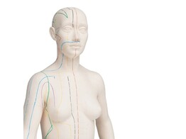 ACUPUNCTURE FIGURE FEMALE- 1000379