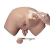 SIMULATEUR D EXAMEN DE LA PROSTATE-W44014