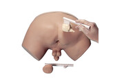 SIMULATEUR D EXAMEN DE LA PROSTATE-W44014