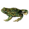 CRAPAUD CALAMITE- SOMSO - ZOS1014