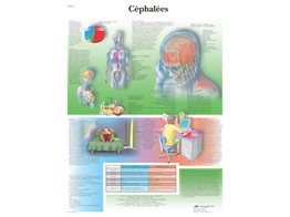 POSTER CEPHALEES - VR2714L