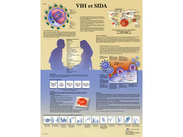 POSTER HIV ET SIDA - VR2725L