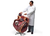 GIANT HEART  8 TIMES LIFE SIZE -  1001244 